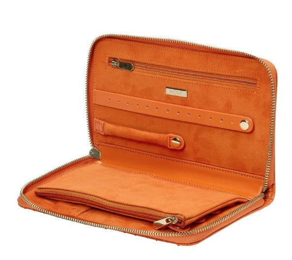 Jewelry Box / Purse