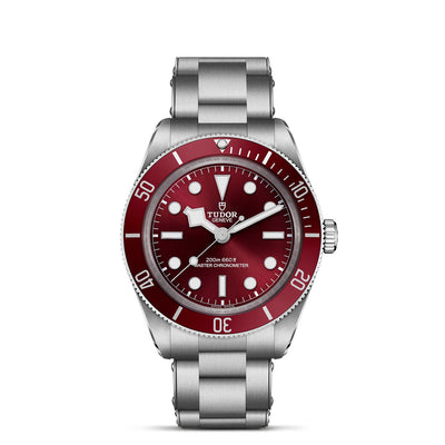 TUDOR Black Bay 58