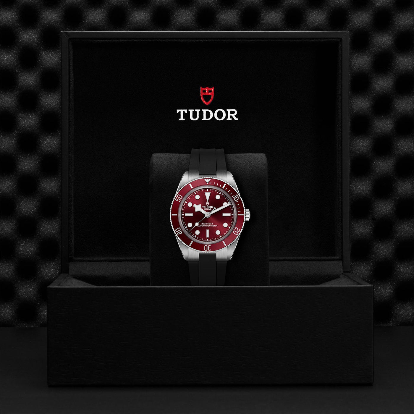 TUDOR Black Bay 58