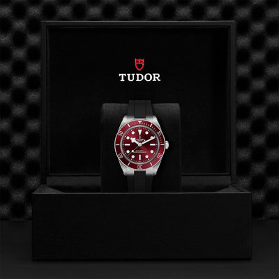 TUDOR Black Bay 58