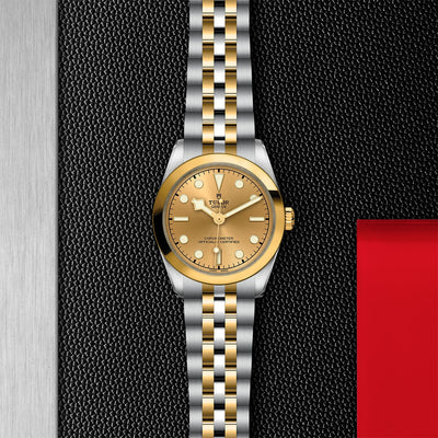TUDOR Black Bay 31 S&G