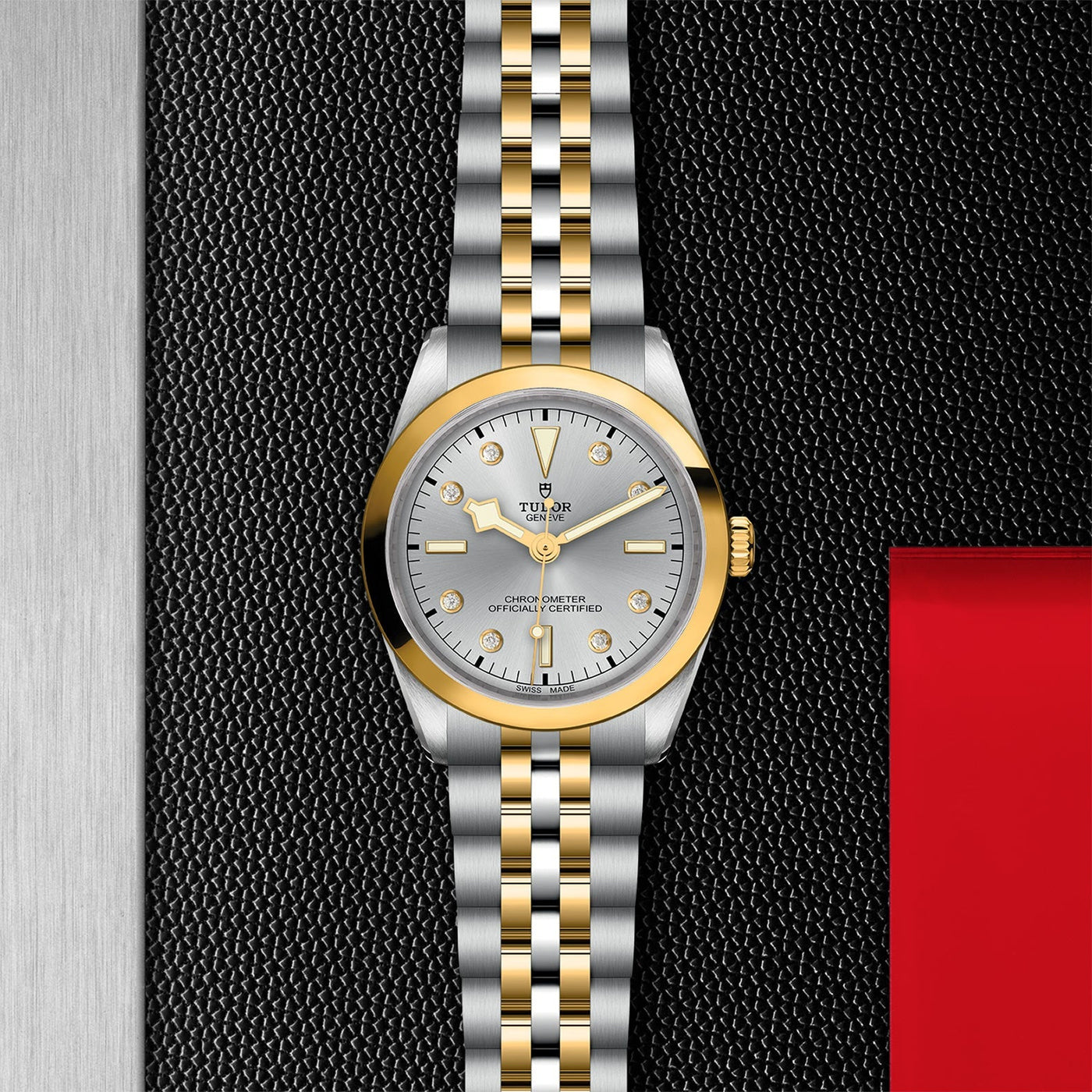 TUDOR Black Bay 36 S&G
