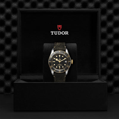 TUDOR Black Bay S&G