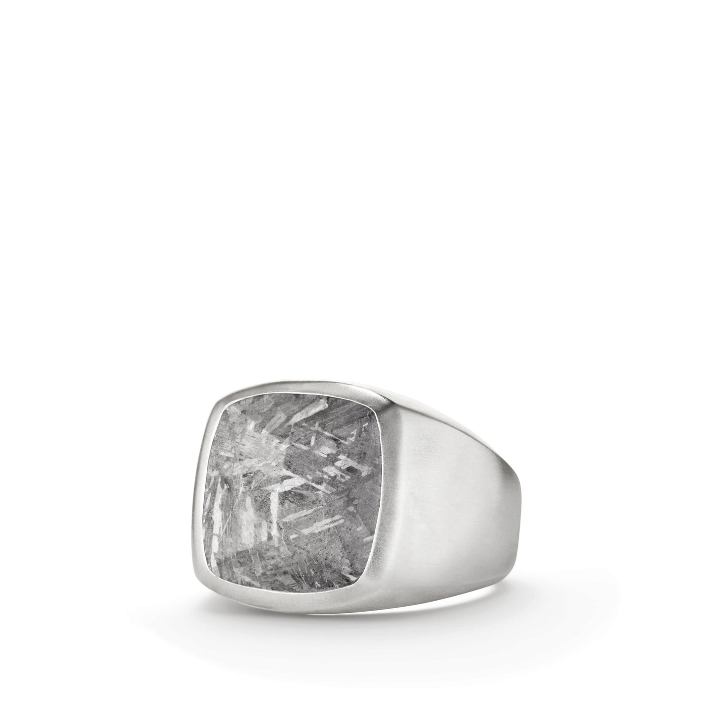 Meteorite Signet Ring in Sterling Silver\, 19mm