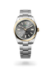Oyster Perpetual 41 - image 2 of 4